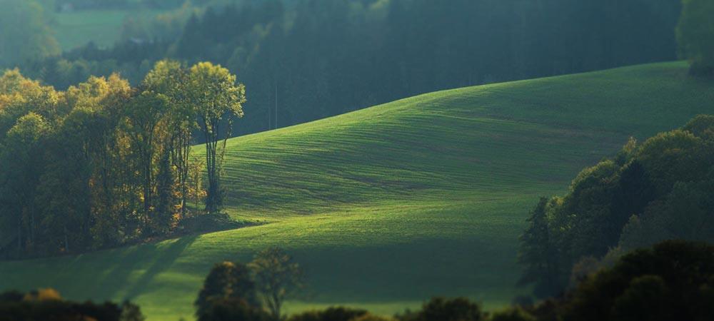 green and energy efficiency land